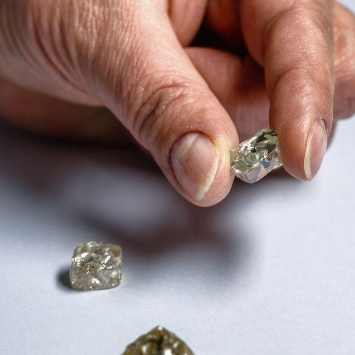Impact of Diamond Mining on the Environment - New World Diamonds - fine jewelry, engagement rings and great gifts