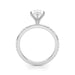 New World Diamonds
