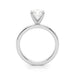 New World Diamonds