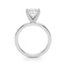 New World Diamonds