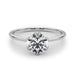 New World Diamonds