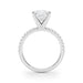 New World Diamonds