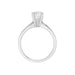 New World Diamonds