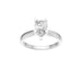 New World Diamonds