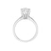 New World Diamonds