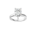 New World Diamonds