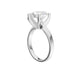 New World Diamonds