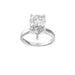 New World Diamonds