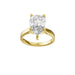 New World Diamonds