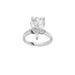 New World Diamonds