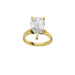 New World Diamonds