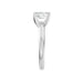 New World Diamonds