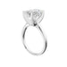 New World Diamonds