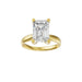 New World Diamonds