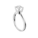 New World Diamonds