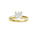 New World Diamonds