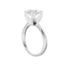 New World Diamonds