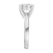 New World Diamonds