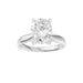 New World Diamonds