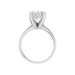 New World Diamonds