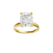 New World Diamonds