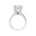 New World Diamonds