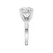 New World Diamonds