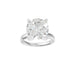 New World Diamonds