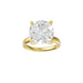 New World Diamonds