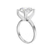 New World Diamonds