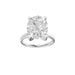 New World Diamonds