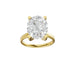 New World Diamonds