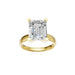 New World Diamonds