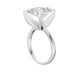New World Diamonds