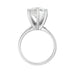 New World Diamonds