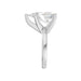 New World Diamonds
