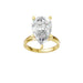New World Diamonds