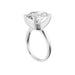 New World Diamonds