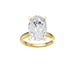 New World Diamonds