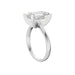 New World Diamonds