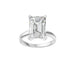 New World Diamonds