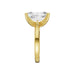 New World Diamonds