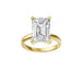 New World Diamonds