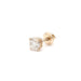 Carlton Earring 0.40 Ct. - New World Diamonds - Earrings