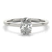 Christina Oval Engagement Ring 1.0 Ct IGI Certified - New World Diamonds - Ring