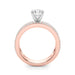 Megan Engagement Ring - New World Diamonds - Ring