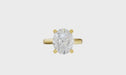 New World Diamonds