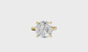 New World Diamonds
