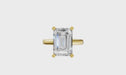 New World Diamonds