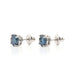 Rachel Earrings 1.0 Ct. T.W. IGI Certified - New World Diamonds - Earrings